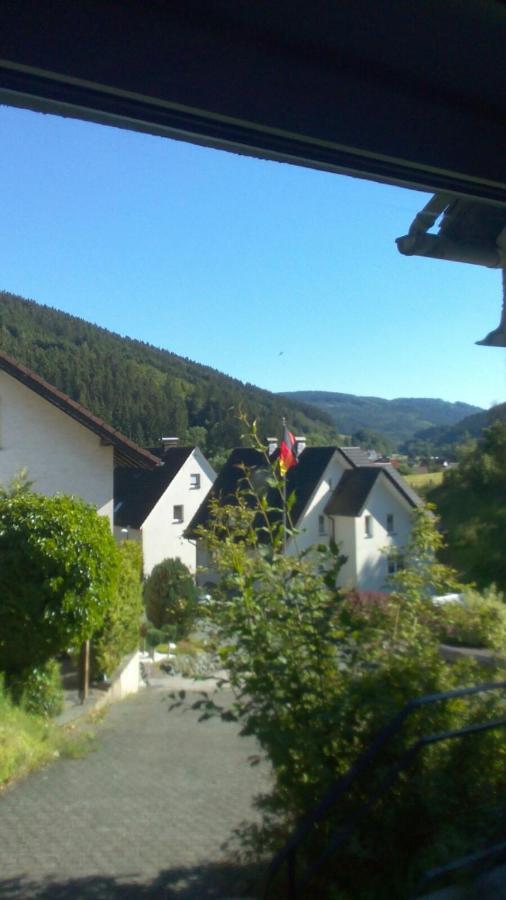 Fewo Pacohaus Naehe Willingen Diemelsee Brilon Exterior photo