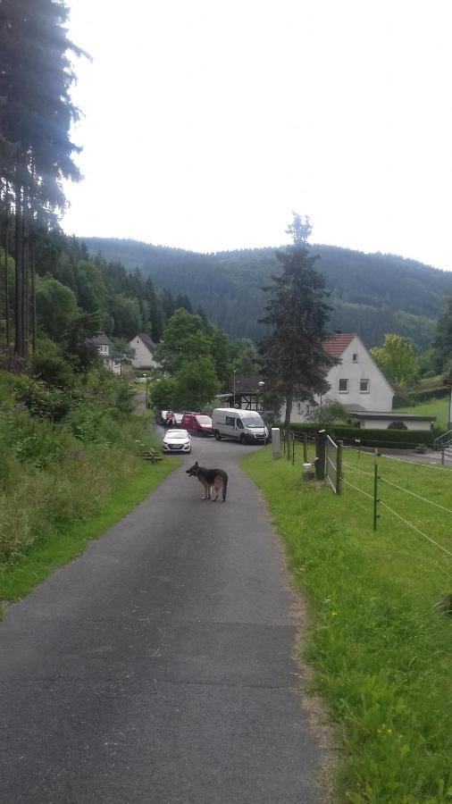 Fewo Pacohaus Naehe Willingen Diemelsee Brilon Exterior photo