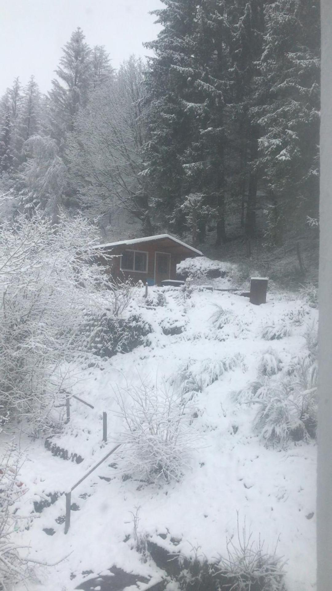 Fewo Pacohaus Naehe Willingen Diemelsee Brilon Exterior photo